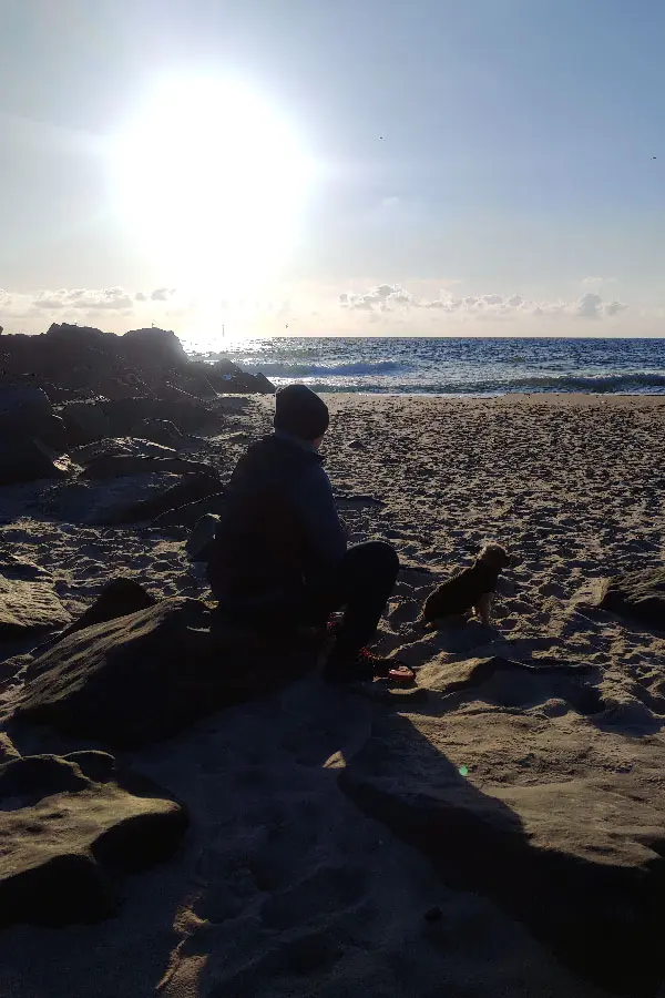 andrea-schickling-mit-hund-am-strand Andrea Schickling am Strand mit ihrem Hund.